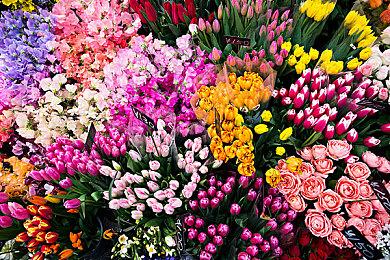 《死亡循环》10分钟加长版视频 演示游戏各种玩法